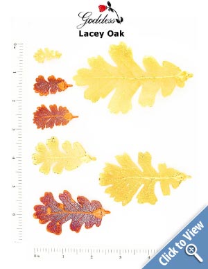Lacey Oak Leaves