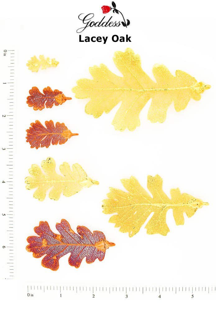 Lacey Oak Leaves